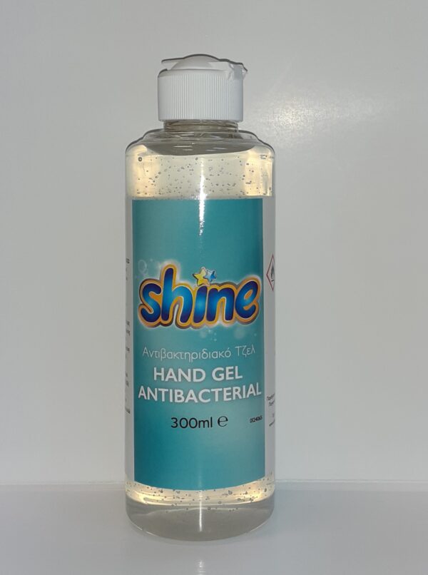 Hand Gel Antiseptic 4L - 300 ml - Image 2